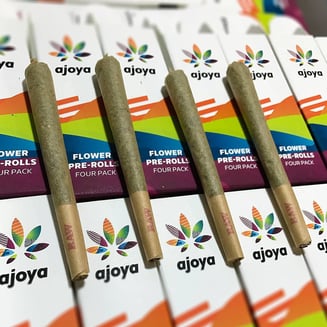 Yellow Gum [.7g] by Ajoya