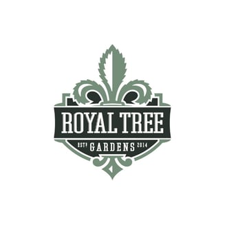 Apple and Bananas [1g] by Royal Tree Gardens