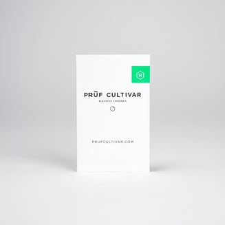 Vanilla Frosting by Pruf Cultivar