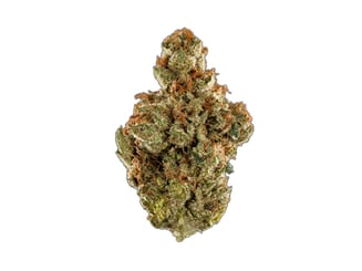 Apple Fritter by DTF - Downtown Flower