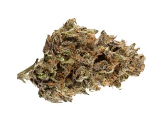 9 Pound Hammer by Raging Goat