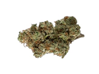 Apple Fritter by Skymint