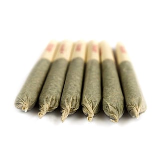 Abomination [.6g] by Shango