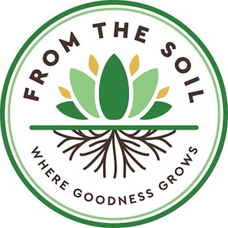 Candyland x Gushers [.75g] by From The Soil