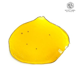 Berry White x Forbidden Fruit by White Label Extracts