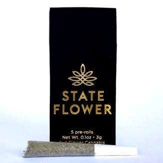 Apple Fritter [.7g] by State Flower