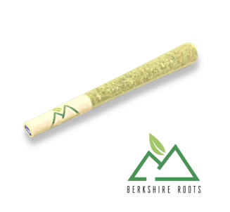 OGKB 2.0 BX [1g}