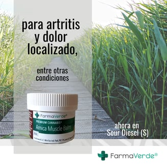 1:1 Arnica by FarmaVerde