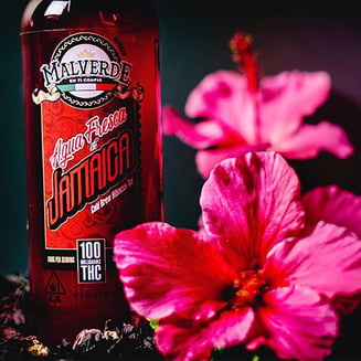 Jamaica (100mg) by Malverde