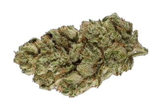 GG4 by Libre