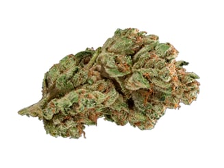 Venom OG