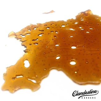 9lb Strawberry by Clandestine Gardens