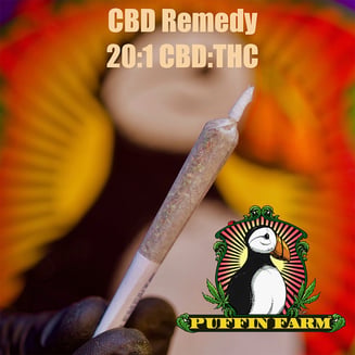 20:1 Remedy [1g] by Puffin Farm