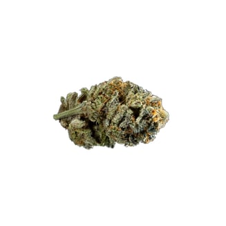 BUZZNUG: Girl Scout Cookies