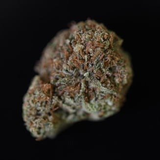 Dream Queen by Emerald Family Farms