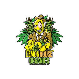 Vanilla Sky by Lemon House Organics