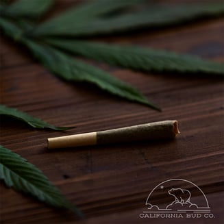Miss USA by Cali Bud Co.