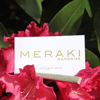 Beach Grapes [.5g] by Meraki Gardens