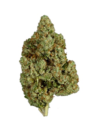 707 Headband by Southwest Cannabis