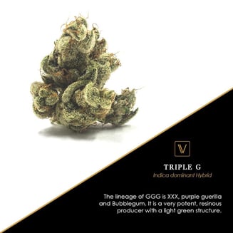 Triple G by Virtue
