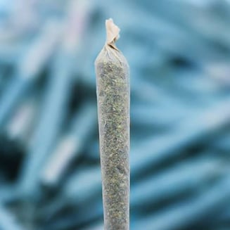 Vanilla Cake [1g] by MMG