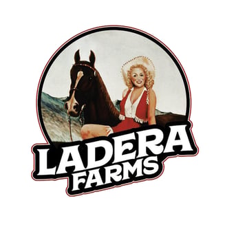 9lb Hammer by Ladera Farms