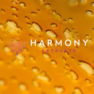 Danky Kong by Harmony Extracts