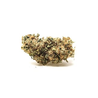 1449 BDream by Great Alaskan Bud Company