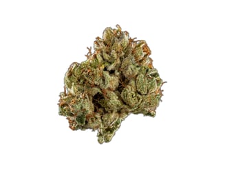 Ace Killer OG by Coco