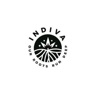 K-1 by Indiva