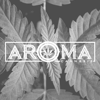 Yellow Gum by Aroma