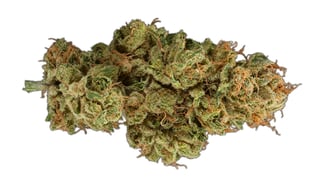 Agent Orange by G420