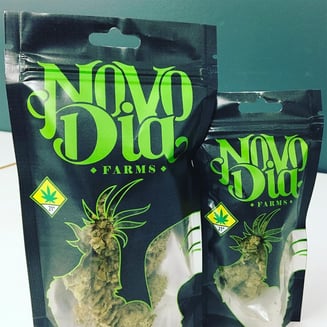 Candyland x Gelato 41 by Novo Dia