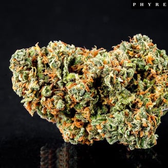 Albert Walker by Phyre