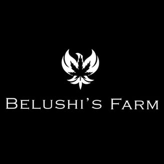 Apple Fritter by Belushi's Farm