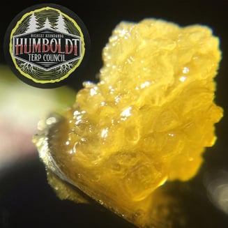 Humboldt Terp Council — Durban Poison