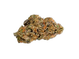 Animal Cookies by Emerald Growing