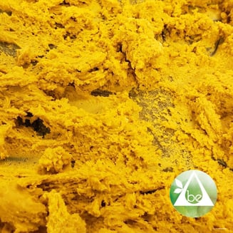 Kashmir by Blessed Extracts