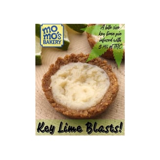 Key Lime Pie by MoMo's Bakery