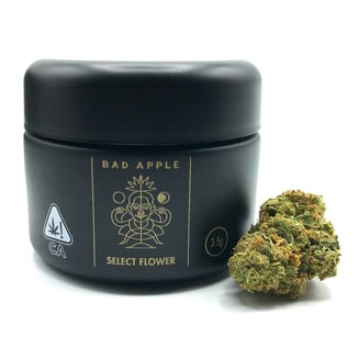 Z Cube by Bad Apple