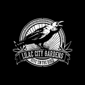 1:1 Harlequin x Face Off OG [.5g] by Lilac City Gardens