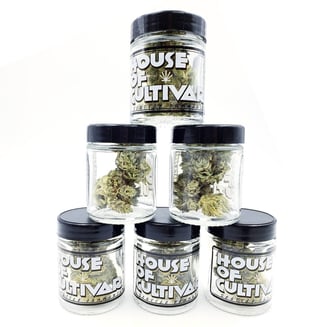 Valencia by House of Cultivar