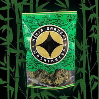 Agent Orange by Ninja Gardens