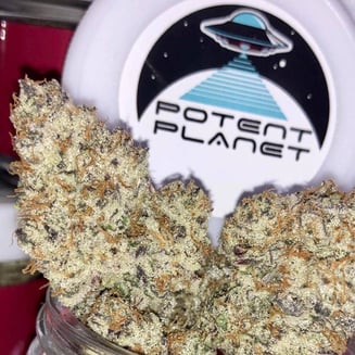Potent Planet: Fcf #2