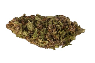 Wood Wide — Dutch Treat