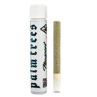 Newport [2g]