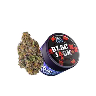Black Jack | Blue Chip | Cannabis Strain - Purple Lotus