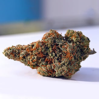 YDK Jack by Lorax Labs