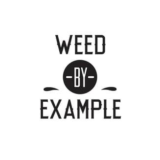 Apple Jack by Weed By Example