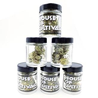 Acapulco Gold by House of Cultivar